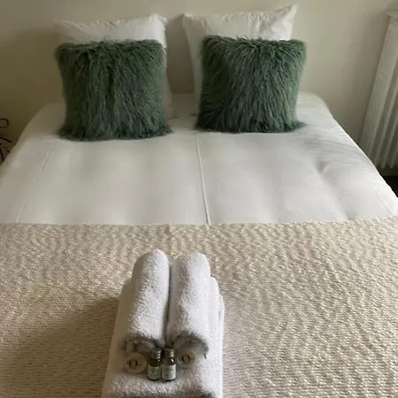 Bertholet Centre Lejlighed Annecy